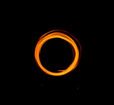 cosmos